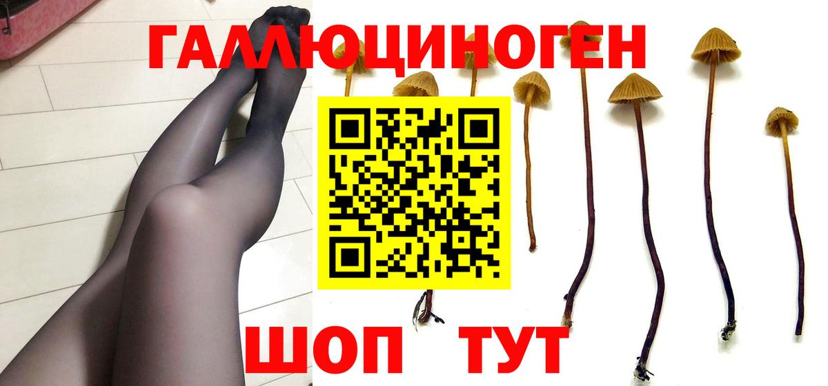 Галлюциногенные грибы мухоморы Ачинск